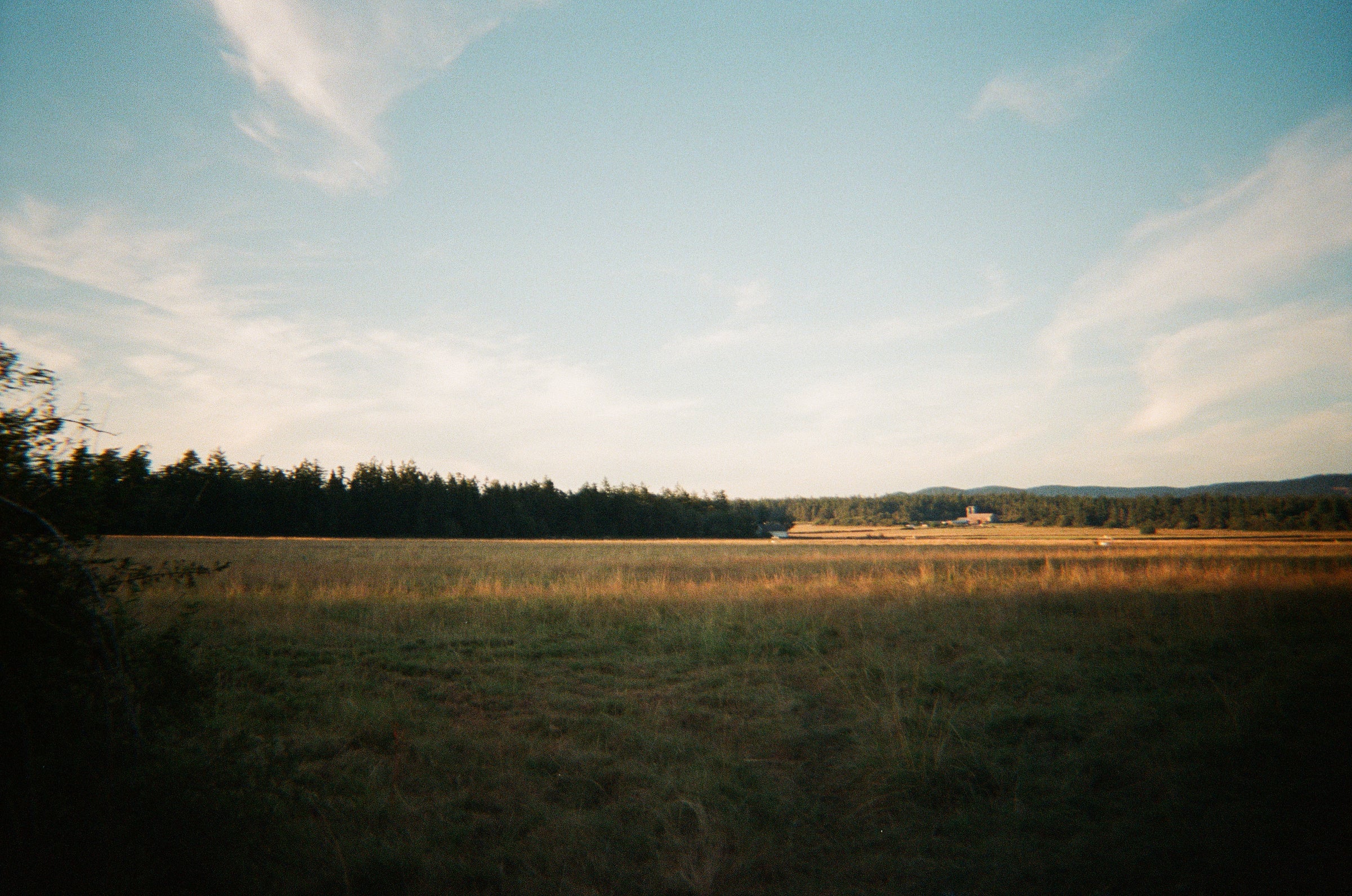 a vast field at dusk on Lopez Island